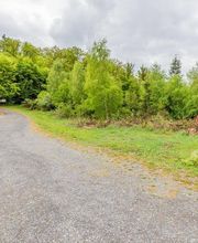 FriedWald Bad Laasphe Bild 10