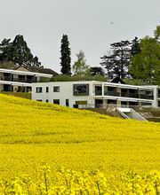 Dominique Baldi Entreprises SA Bild 1