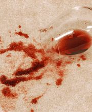 Premier Chem-Dry image 8