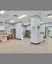 Middlesex Veterinary Center image 11
