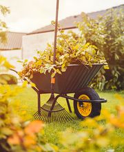 Bm Gartenservice Bild 5