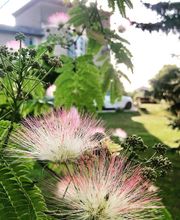 Maison Ardure image 19