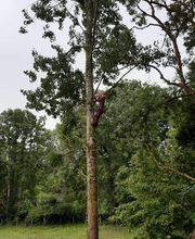 Baudin Parcs et Jardins image 5