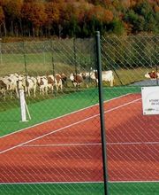 Cotennis SARL image 5