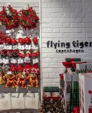Flying Tiger Copenhagen Bild 9