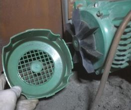 Avipur image 11