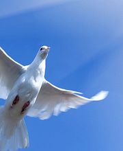 AXA Gery Lenain Agent Général image 1