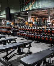 Basic-Fit imagen 2