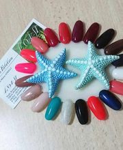 Gallery Cliente