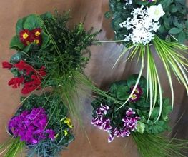 Vive Le Jardin image 7
