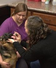 Westside Family Pet Clinic image 19