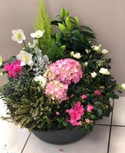 Amicie Fleurs image 2
