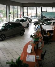 Gallery Cliente