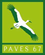 Paves 67 image 1
