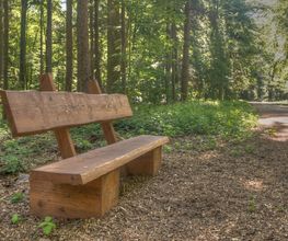 FriedWald Goch-Tannenbusch Bild 7