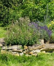 Röver GartenCon Garten- und Landschaftsbau Bild 5