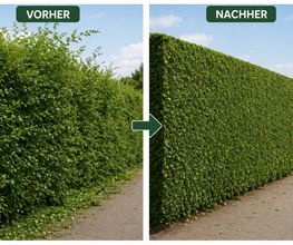NOVENTOS Service Bild 1