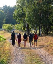 "Yoga auf dem Jakobsweg" 2018. 

Vom 19.9. - 23.9.2018 pilgerte Saccidananda-Yoga auf dem Brandenburger Jakobsweg von Frankfurt/Oder nach Bernau - 108 km in 5 Etappen. Es war wundervoll!