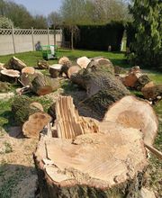 Arbres Verts Outters Outters Xavier image 8