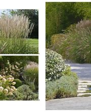 Jardins Intemporels image 15
