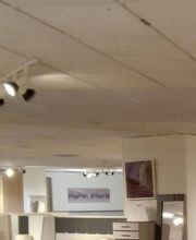 Mimoondo Palencia imagen 10