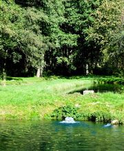 Fischerei Erlengrund Rau Bild 3