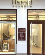Harold Galerie-Photographe-Lyon image 6