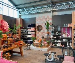 Intratuin Hulst afbeelding 19
