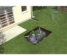 Rainéa21 image 4