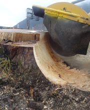 Parisini AG - Ihr Gartenbauer im Aargau Bild 10