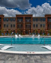 Argento at Oakland Springs Apartments image 8
