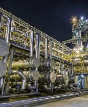 ELLEVI GROUP immagine 14