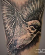 Lizard Tattoo Studio Bild 1
