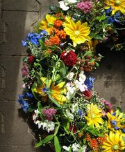 Blumen Schmutz Bild 3