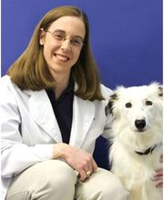 Caring Hands Animal Hospital - Rockville image 3