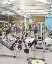 BodyLine immagine 14