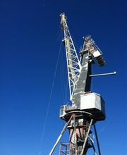 Spider Color image 3