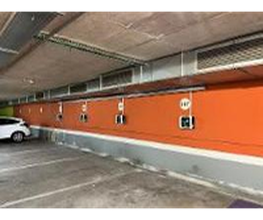 Wenea imagen 2