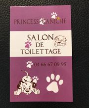 PRINCESS CANICHE image 11