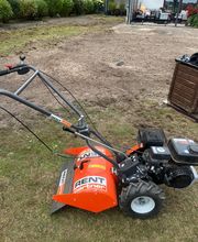 Haus-&Gartenservice Rose Bild 2