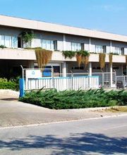 gfoto03.jpg