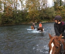Equiloisirs image 6