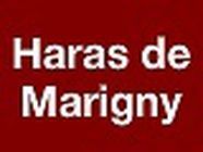 Konczewski Centres Equestres Equitation Marie