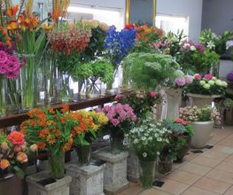 Blumen Eder Bild 3