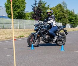 Compagnie des Permis image 9