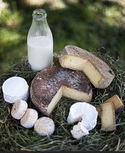 Office De Tourisme Intercommunal Du Pays De Bray image 3