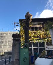Wintrestin image 14