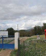 Pension Dog Méditerranée image 2