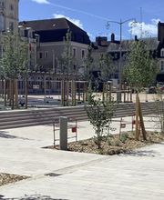 Gibier Julien image 1