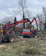 Grünplus AG Lehmann Bild 1